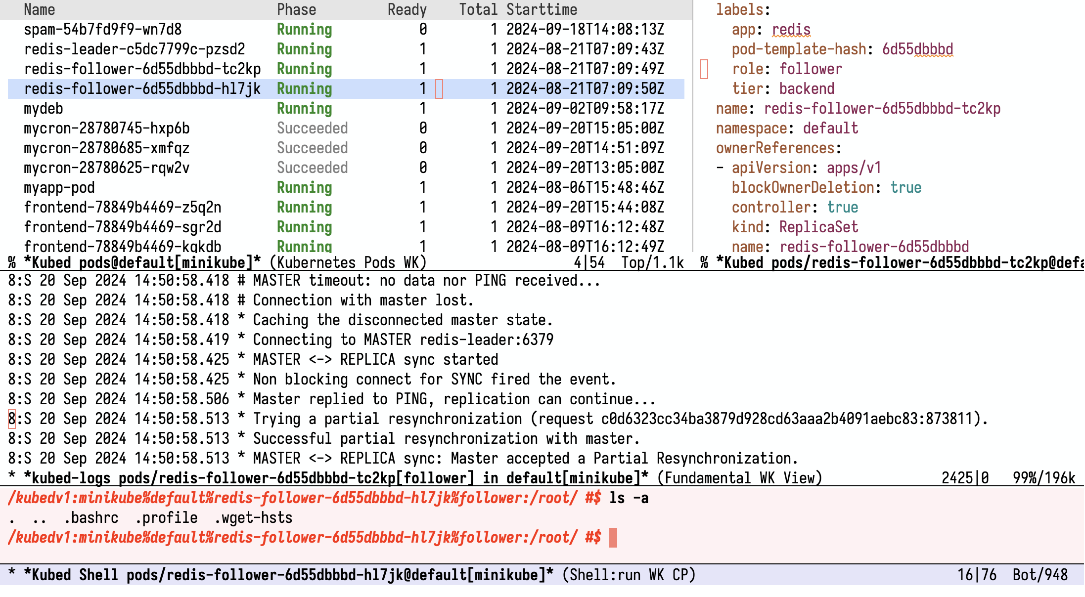 Four different kinds of Kubed buffers in Emacs